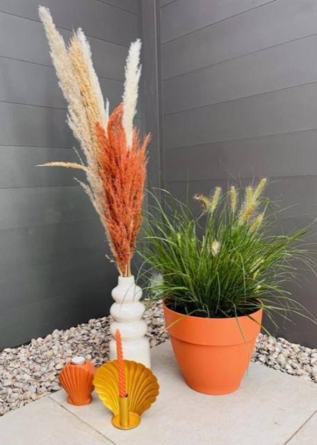 Charley'S Wellness Suite Westkapelle Dış mekan fotoğraf